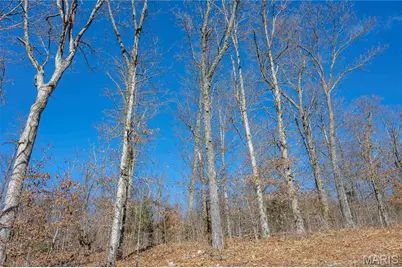 12328 Top Ozark Road, Belgrade, MO 63622 - Photo 74
