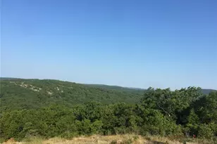 221 Hwy Vance Rd Old Middlebrook Rd 221 Hwy, Ironton, MO 63663 - Photo 4