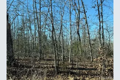 Tbd County Road 4110, Rolla, MO 65401 - Photo 2