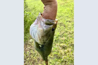 14502 E State Hwy E, Cadet, MO 63630 - Photo 6