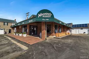 317 Lake Side View Ln, Cottleville, MO 63376 - Photo 52