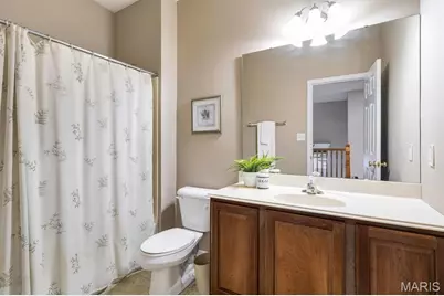 317 Lake Side View Lane, Cottleville, MO 63376 - Photo 44