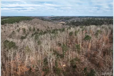 3627 County Road 2120, Rolla, MO 65401 - Photo 6