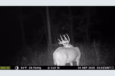 00 Spring Creek Road, Novinger, MO 63544 - Photo 18