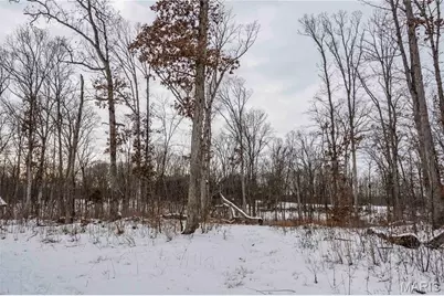 345 Quarry Road, Silex, MO 63377 - Photo 48