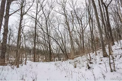 345 Quarry Road, Silex, MO 63377 - Photo 18