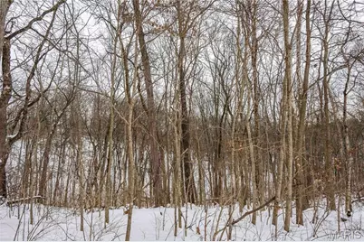 345 Quarry Road, Silex, MO 63377 - Photo 4