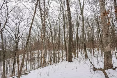 345 Quarry Road, Silex, MO 63377 - Photo 38