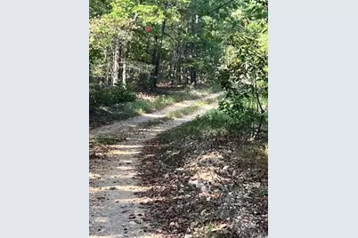 197 Madison Cr 410, Fredericktown, MO 63645 - Photo 2