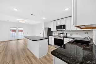 227 W Monroe Ave, Saint Louis, MO 63122 - Photo 10