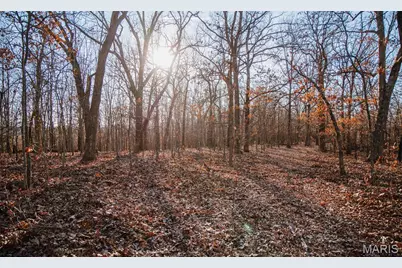 38925 Stone Piler Avenue, Edwards, MO 65326 - Photo 38