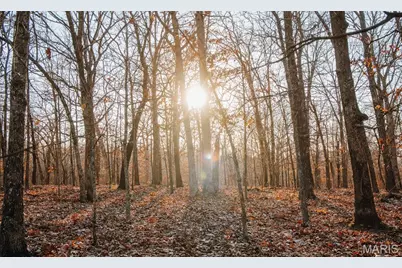 38925 Stone Piler Avenue, Edwards, MO 65326 - Photo 46