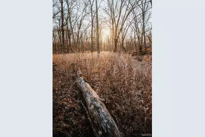 38925 Stone Piler Avenue, Edwards, MO 65326 - Photo 50