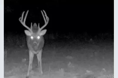 38925 Stone Piler Avenue, Edwards, MO 65326 - Photo 68