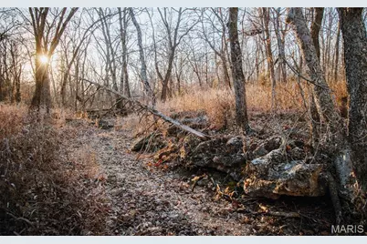 38925 Stone Piler Avenue, Edwards, MO 65326 - Photo 52