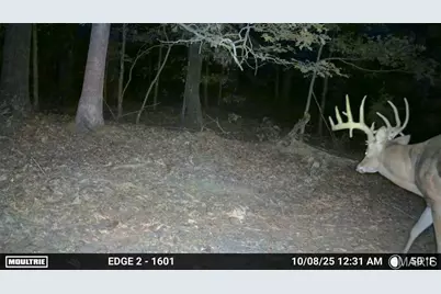 38925 Stone Piler Avenue, Edwards, MO 65326 - Photo 74