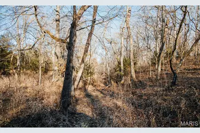 38925 Stone Piler Avenue, Edwards, MO 65326 - Photo 42