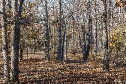 38925 Stone Piler Avenue, Edwards, MO 65326 - Photo 24