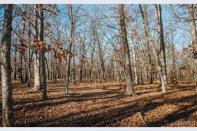 38925 Stone Piler Avenue, Edwards, MO 65326 - Photo 36