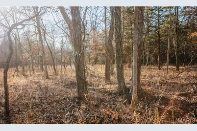 38925 Stone Piler Avenue, Edwards, MO 65326 - Photo 32