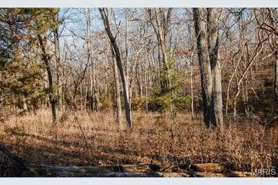 38925 Stone Piler Avenue, Edwards, MO 65326 - Photo 44