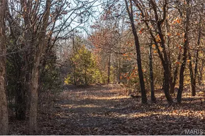 38925 Stone Piler Avenue, Edwards, MO 65326 - Photo 22