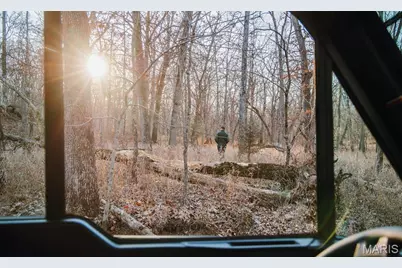 38925 Stone Piler Avenue, Edwards, MO 65326 - Photo 48