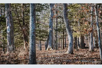 38925 Stone Piler Avenue, Edwards, MO 65326 - Photo 30