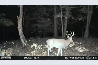 38925 Stone Piler Avenue, Edwards, MO 65326 - Photo 76