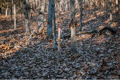 38925 Stone Piler Avenue, Edwards, MO 65326 - Photo 54