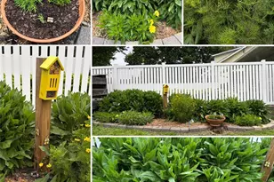 917 N 5th St, Saint Charles, MO 63301 - Photo 32