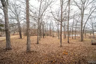 1524 Lola Ln, St James, MO 65559 - Photo 40