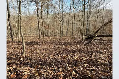 0 Haverstick School Road, Festus, MO 63028 - Photo 4