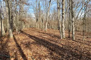 0 Haverstick School Rd, Festus, MO 63028 - Photo 1