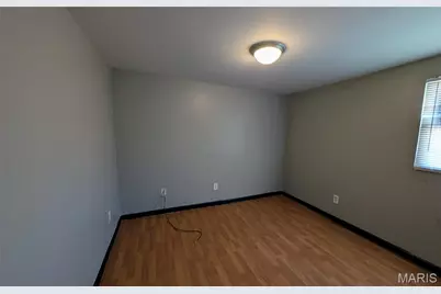 3743 Wisconsin Avenue, Saint Louis, MO 63118 - Photo 18