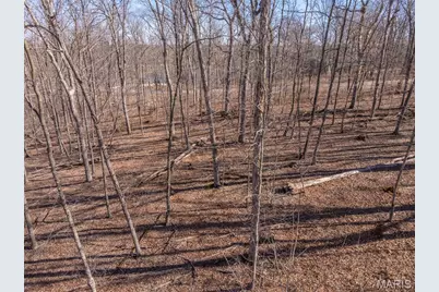 2832 Morgan Lake Drive, Innsbrook, MO 63390 - Photo 12