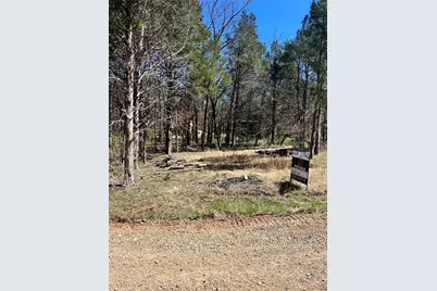 0 Camille Ct, Bonne Terre, MO 63628 - Photo 4