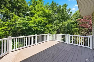 53 Lions Head Ct, O'Fallon, MO 63368 - Photo 50