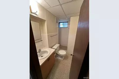 4409 Fatima Drive, Affton, MO 63123 - Photo 22