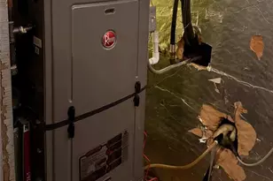 1924 Allen, Saint Louis, MO 63104 - Photo 20