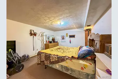 202 Meadowbrook Drive, Farmington, MO 63640 - Photo 30
