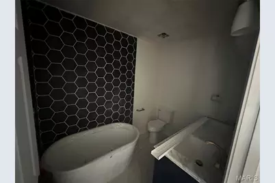 3805 Hartford Street, Saint Louis, MO 63116 - Photo 12