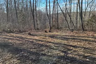 0 Catawba Dr, De Soto, MO 63020 - Photo 1