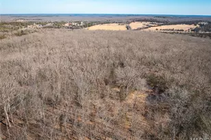 37118 Willow Rd, Plato, MO 65552 - Photo 38