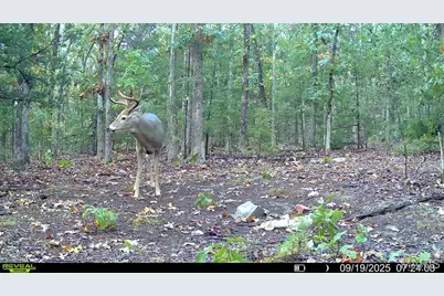 37118 Willow Road, Plato, MO 65552 - Photo 42