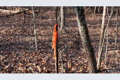 4598 Highway 30, Robertsville, MO 63072 - Photo 76