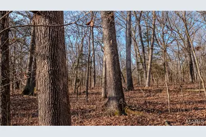 4598 Highway 30, Robertsville, MO 63072 - Photo 72