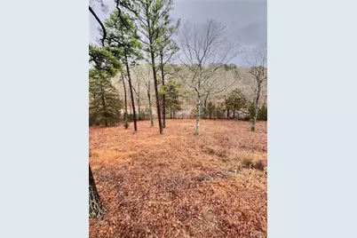 20165 State Highway Aa, Potosi, MO 63664 - Photo 38