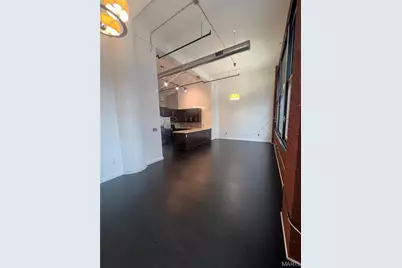 1520 Washington Avenue #207, Saint Louis, MO 63103 - Photo 2