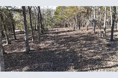 10321 Timber Hill Drive, Hillsboro, MO 63050 - Photo 4